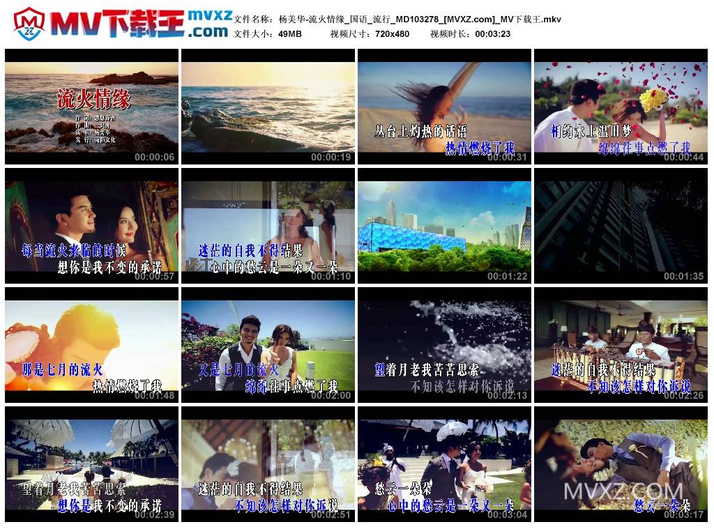 杨美华-流火情缘_国语_流行_MD103278